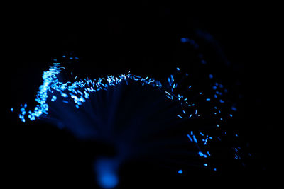 Close-up of illuminated christmas lights