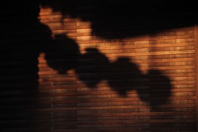 Shadow of woman falling on footpath