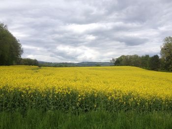 Scenic view of field against cloudy sky