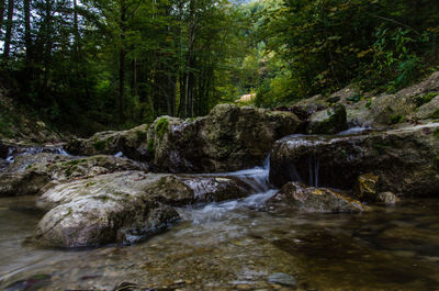 View of waterfall in forest