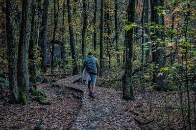 Man walking away from camera down a fores path