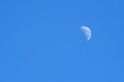 Low angle view of moon against clear blue sky