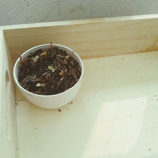 food and drink, indoors, table, high angle view, freshness, drink, directly above, coffee cup, still life, close-up, refreshment, no people, day, coffee - drink, overhead view, bowl, spoon, wood - material, cup, plate