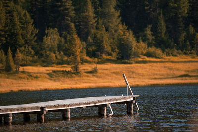 Scenic view of lake