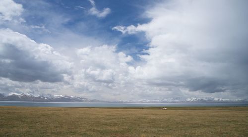 Scenic view of field against sky