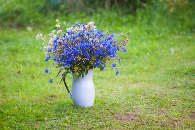 Close-up of purple flowering plants in jug