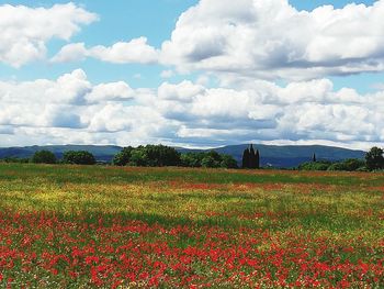 Scenic view of grassy field against cloudy sky