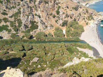 High angle view of trees on landscape