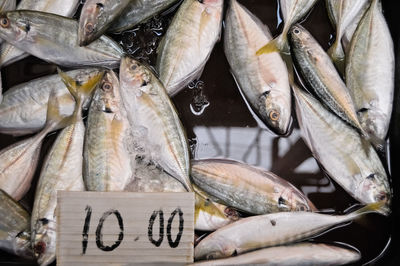 Close-up of fish for sale in market