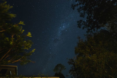 Low angle view of trees against sky at night