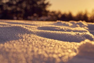 Surface level of snow on land during sunny day