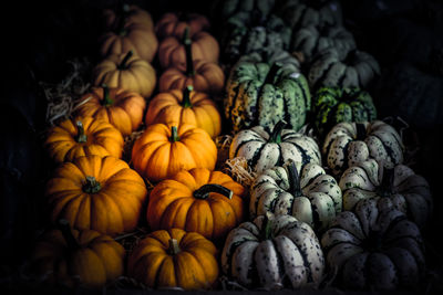 Close-up of pumpkins for sale at market