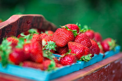 Close-up of strawberries