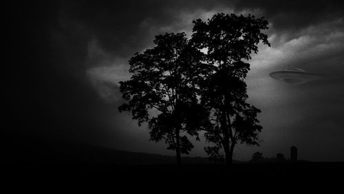 Low angle view of silhouette tree on field against sky at dusk