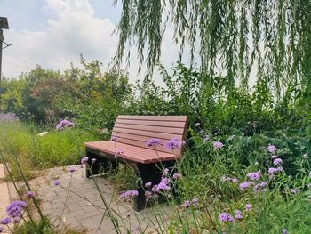 Empty bench in park against sky