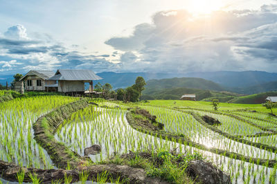 Scenic view of landscape against sky