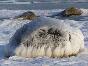 Close-up of frozen water in winter