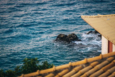 High angle view of horse in sea