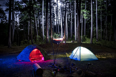 Tent in forest at night