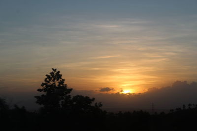 Silhouette of trees at sunset