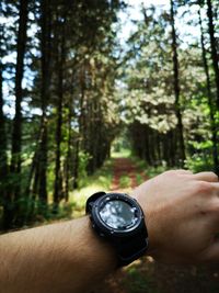 Midsection of person wearing sunglasses in forest