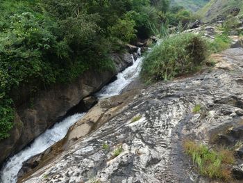 Stream flowing through rocks in forest