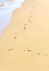 High angle view of footprints on sand at beach