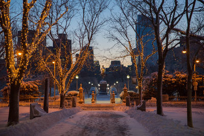 Street amidst trees during winter