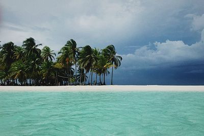 Palm trees by swimming pool against sky panama san blas el povenir 