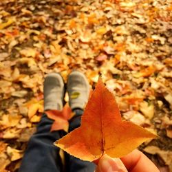 Low section of person standing on fallen autumn leaves