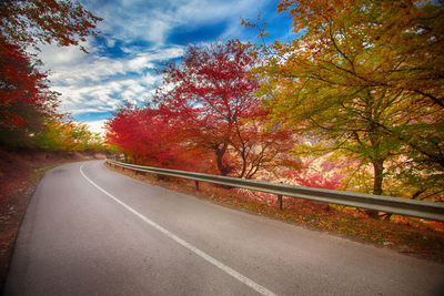 Road amidst trees against sky during autumn