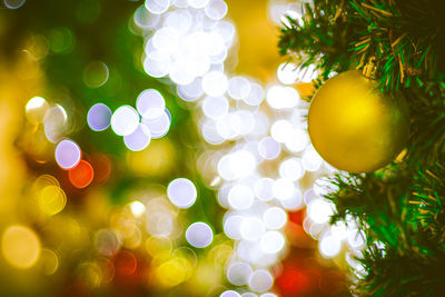 Close-up of illuminated christmas tree