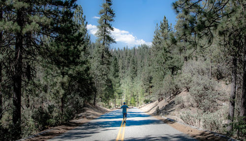 Rear view of man standing on road in forest