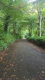 Road amidst trees in forest