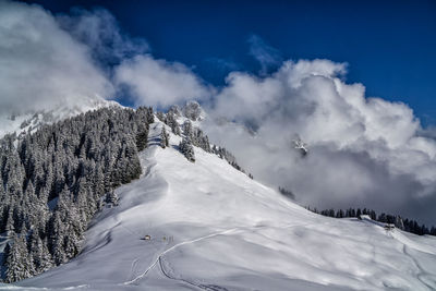 Winter and fog in the mountains