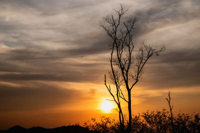 Low angle view of silhouette bare tree against sky during sunset