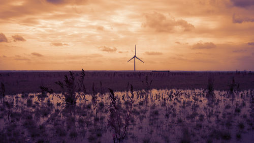 Scenic view of field against sky during sunset