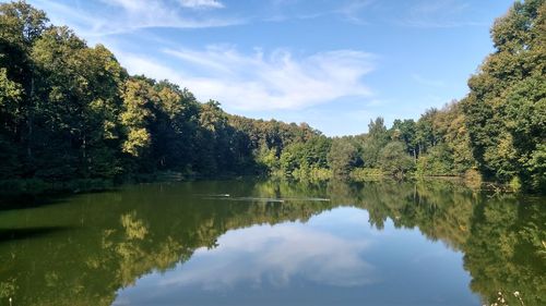 Scenic view of lake by trees against sky