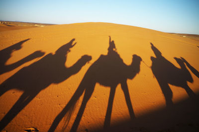 Shadow of people riding camel on sand at desert against sky