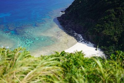 High angle view of surf on beach