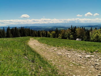 Scenic view of field against sky