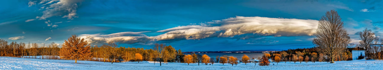 Panoramic shot of trees on snow covered land against sky