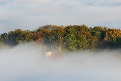 Trees against sky during autumn