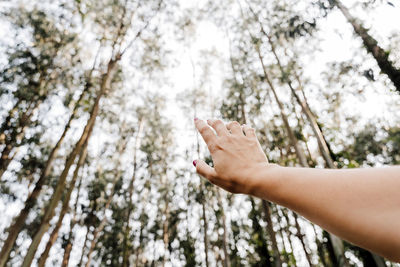 Low section of person holding plant against trees