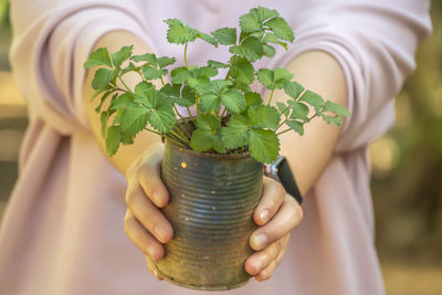 Midsection of woman holding plant