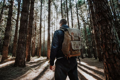Rear view of man walking in forest