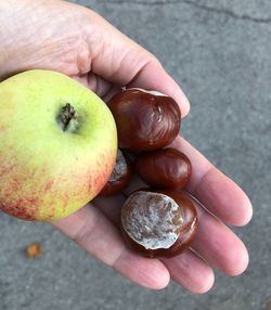 Close-up of hand holding apple