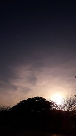 Silhouette trees against sky during sunset