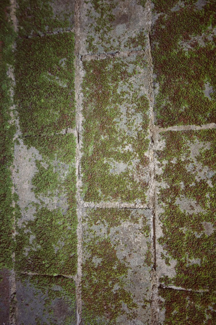 FULL FRAME SHOT OF STONE WALL BY FOOTPATH