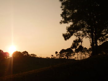 Silhouette trees on field against sky during sunset